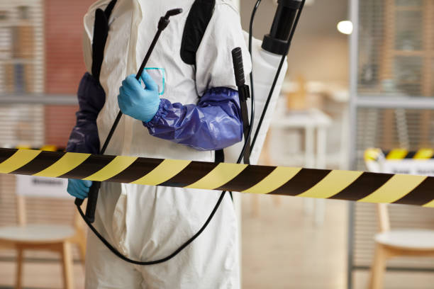 Professional Sewage Cleanup technician working in Franklin, KY